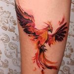 سالن آرایش و تاتوبدن دایار (ویژه آقایان)