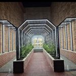 کالای برق نوین ( الکتریکی نوین )