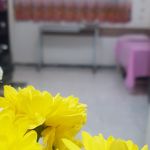 مطب مامایی و زنان و زایمان