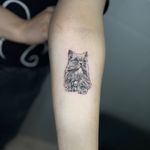 هیژان تتو(مخصوص بانوان)