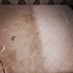 قالیشویی مبلشویی و موکتشویی تهرانشهر