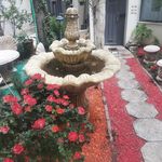 پانسیون مطالعاتی الف زعفرانیه