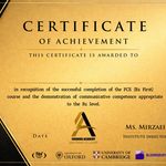 آکادمی زبان فرهنگ نوین
