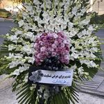 گل فروشی ارکیده