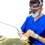 دندانپزشکی دکتر یحیی پور-بیمه داریم