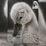 آموزشگاه نقاشی عرفانه
