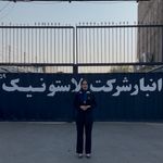 پلاستونیک