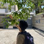 آکادمی و مهد زبان همیار سخن
