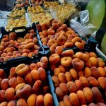 میوه فروشی چهار فصل [ برادران نوابی ]