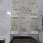 پت شاپ رامکال