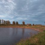 تکثیر و پرورش ماهی قرمز _ بچه ماهی کپور_امور_فیتوفاک_بیگهد