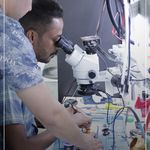 تعمیرات موبایل آونگ جی اس ام