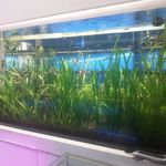 آکواریوم ساحل