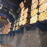 بارفروش ملک زاده