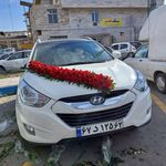 گلفروشی بوی گندم