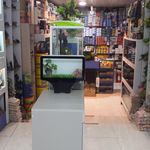 آکواریوم آرام