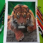 🌈آموزش مجازی نقاشی مدادرنگی جادوی رنگی🌈