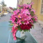 گل فروشی آندیا (شعبه دو)