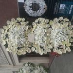 گلسرای سئول