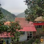 کافه کبابی شوروم