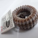 تولید و پخش گلسر زنانه