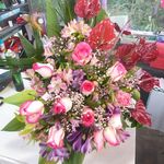 گل فروشی آندیا (شعبه دو)