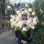 گل فروشی آندیا (شعبه دو)