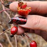 سالن زیبایی مهرسانا