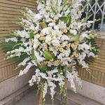 گل فروشی آندیا (شعبه دو)