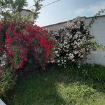 اجاره ویلا مهردخت خواجه زاده