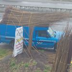 نهال فروشی صنوبر صادق نجفی