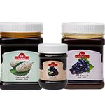 شرکت بین‌المللی دمباز