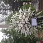 گلسرای سئول