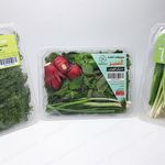 سبزیجات آماده گشنیز (تبریز)