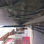 پخش پتو حقانی