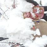 اقامتگاه بوم گردی خانه سیب