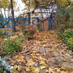 اقامتگاه بوم گردی خانک