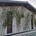 اجاره ویلا سعید ابوالحسنی