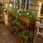 باغبانی و فضای سبز نماسازان