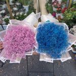 گل فروشی نابلس