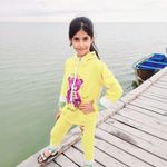 خدمات لوستر برتر