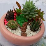 گلخانه مشهد باغ بهشت