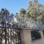 حفاظ شاخ گوزنی  استار حفاظ