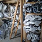 فروشگاه تخصصی سپر خودرو