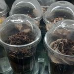 شرینی و کیک خانگی