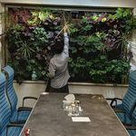 باغبانی و فضای سبز نماسازان