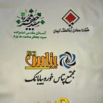 گلدوزی دیجیتال رز