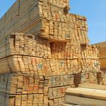 پخش چوب نرادروسی وچوب فروشی رضا پورقاسم