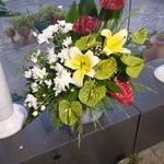 گل فروشی آندیا (شعبه دو)