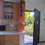 اقامتگاه روستایی افرا